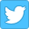 twitter-icon